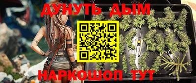 индика Краснодар