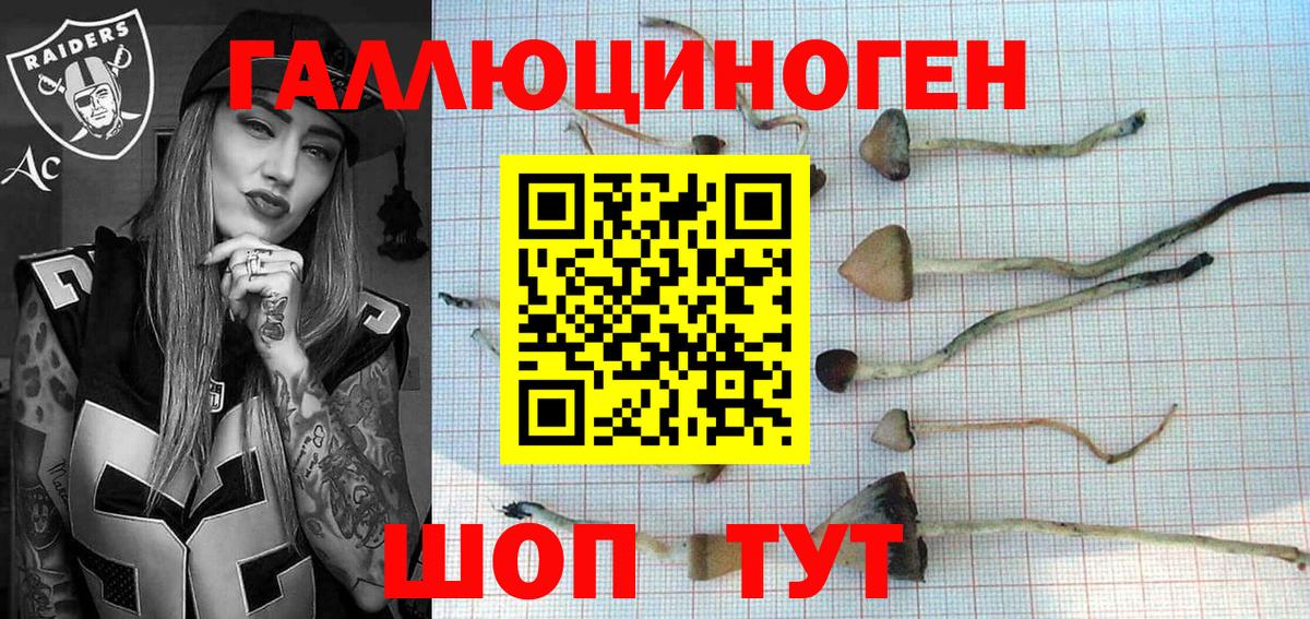 Галлюциногенные грибы Psilocybe Карпинск