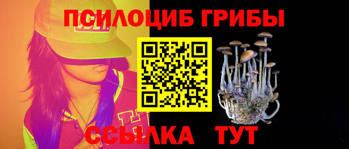 магазин продажи наркотиков  Вход с VPN  Карпинск  Псилоцибиновые грибы мицелий  Галлюциногенные грибы Magic Shrooms 